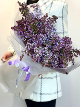 Купить с доставкой. Сирень