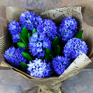 Купить с доставкой. Букет из гиацинтов