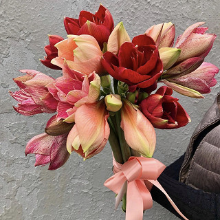 Купить с доставкой. Нимфа