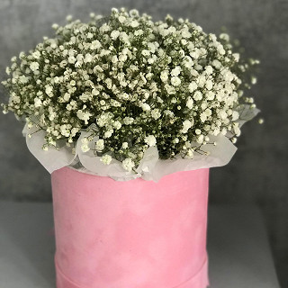 Купить с доставкой. Воздушное Облако