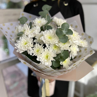 Купить с доставкой. Облака