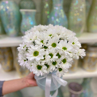 Купить с доставкой. Коробочка с ромашками