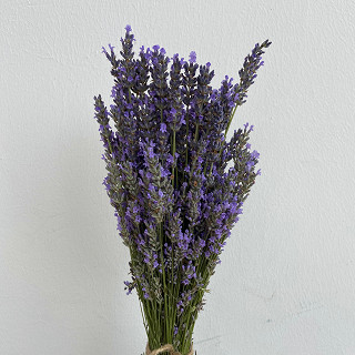 Купить с доставкой. Mono 9