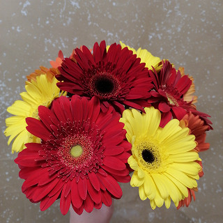 Купить с доставкой. Красное солнышко