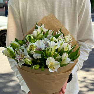 Купить с доставкой. Чистые краски