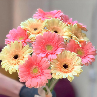 Купить с доставкой. Для моей принцессы