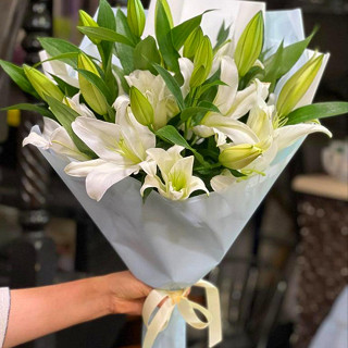 Купить с доставкой. Белое чудо