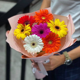 Купить с доставкой. Танец красок