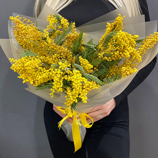 Купить с доставкой. Мимоза весенний букет на 8 марта