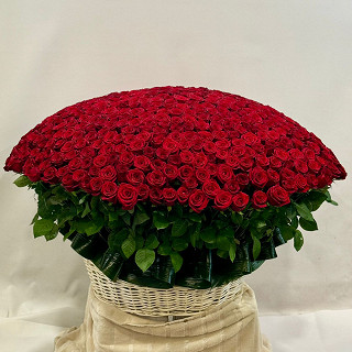 Купить с доставкой. 1001 роза эквадор в корзине