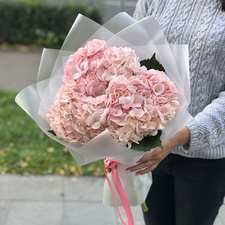 Купить с доставкой. Розовое облако