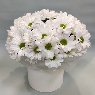 Купить с доставкой. Коробка из хризантем