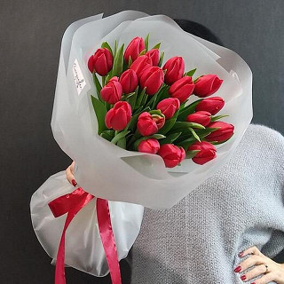 Купить с доставкой. Красные тюльпаны 15 шт
