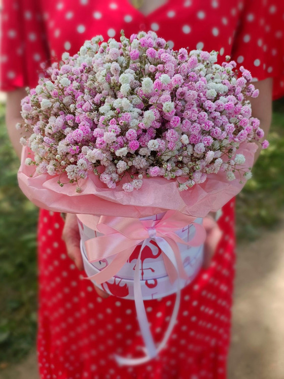 Коробка с гипсофилой