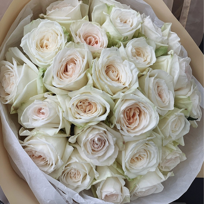 Купить ароматные розы в москве купить мужской букет москва