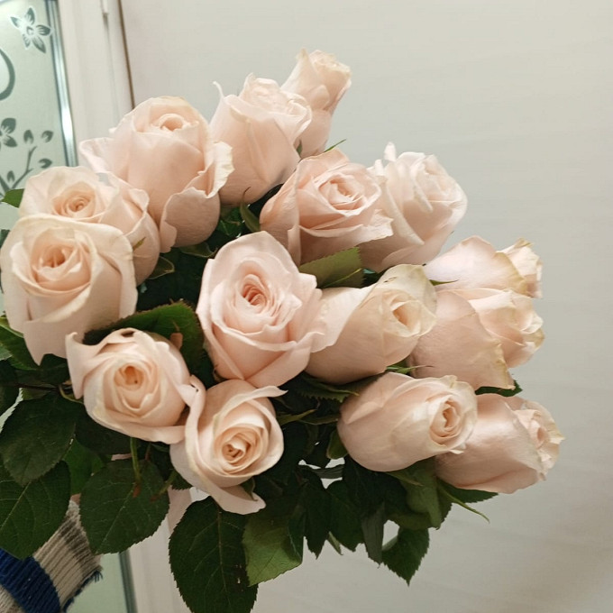 15 нежно розовых роз