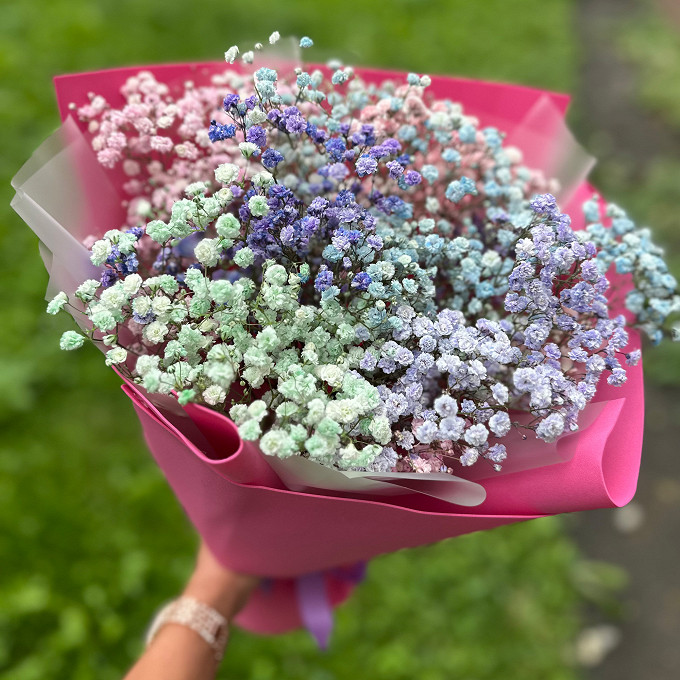 Купить с доставкой. 7 цветных гипсофил
