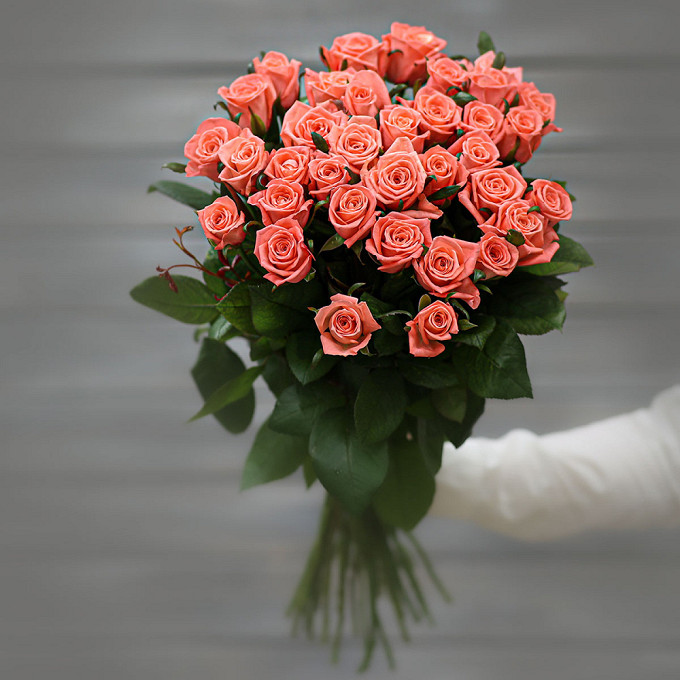 Букет из 33 коралловых роз (Россия) с лентой 60 см