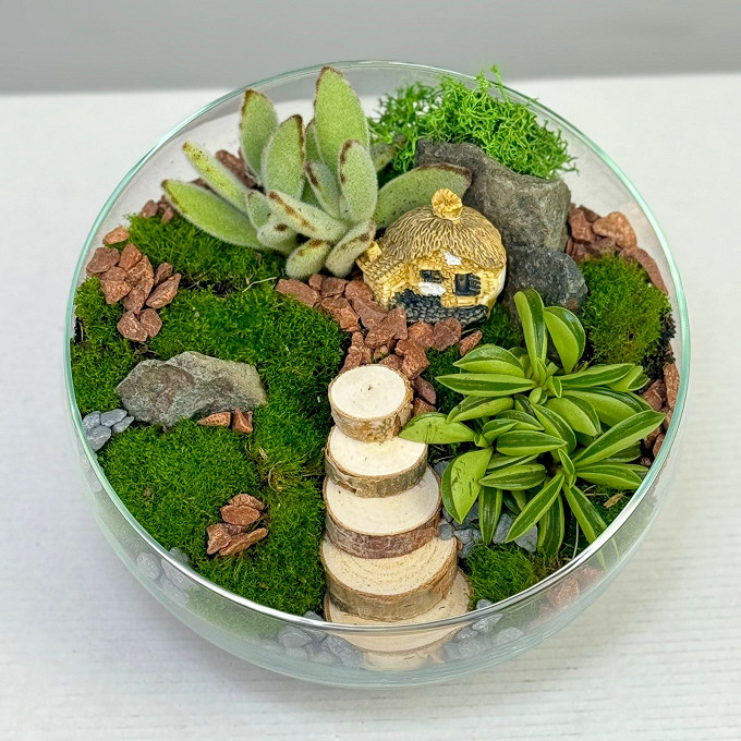 Купить с доставкой. Флорариум "Лесной фрагмент"