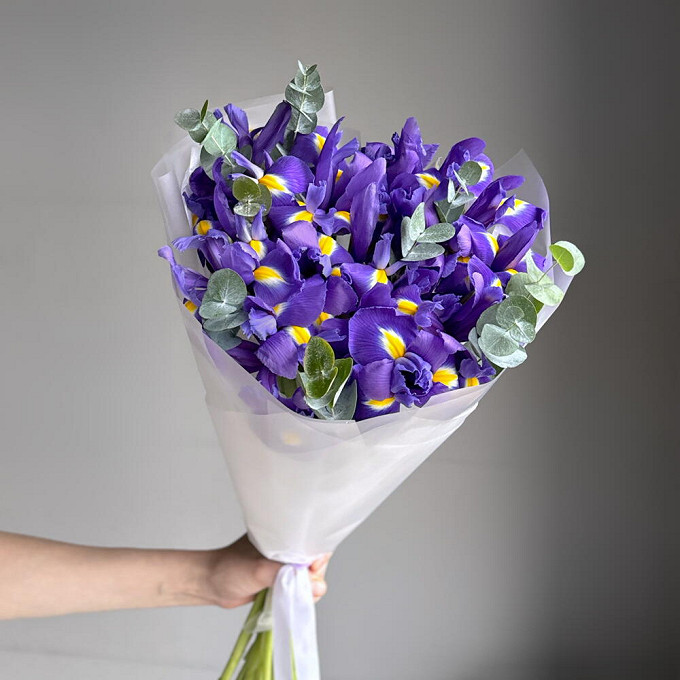 Букет из 15 фиолетовых ирисов с эвкалиптом