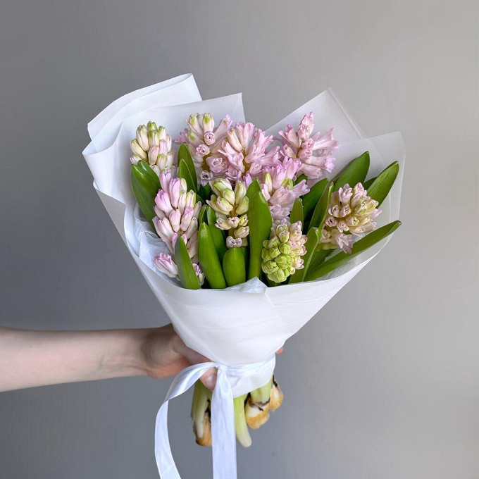 Букет из 9 розовых гиацинтов в упаковке