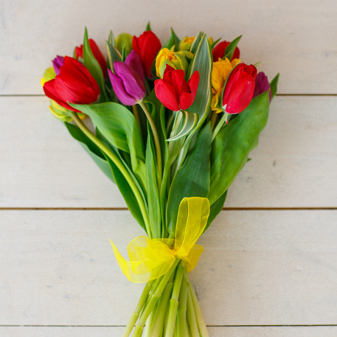 Букет разноцветных тюльпанов. Букет из разноцветных тюльпанов. Разноцветные тюльпаны букет 11 штук. 11 Разноцветных тюльпанов.